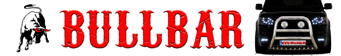 BULLBAR